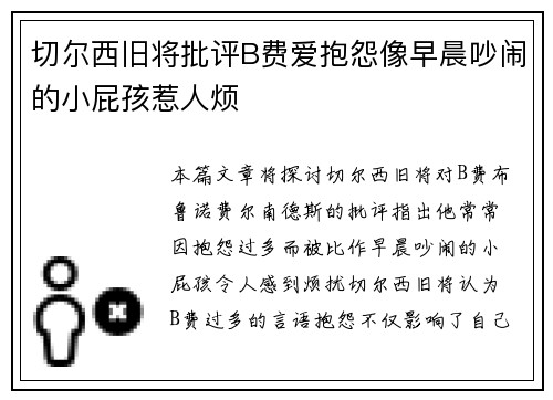 切尔西旧将批评B费爱抱怨像早晨吵闹的小屁孩惹人烦
